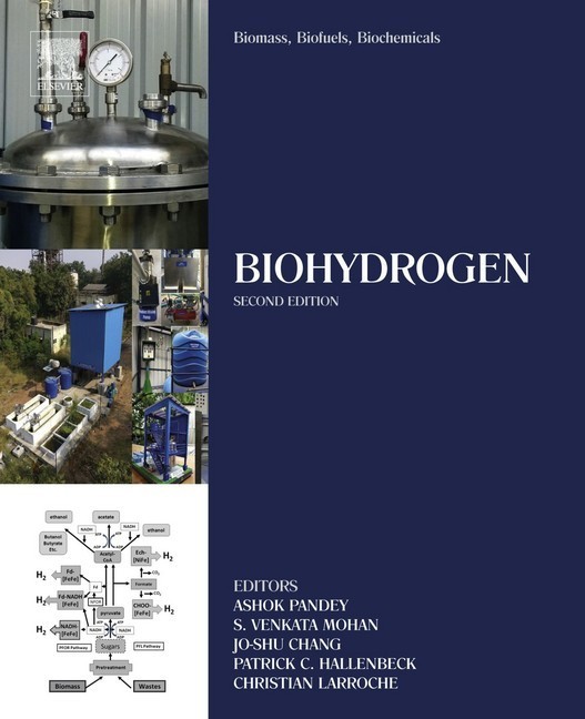 Biomass, Biofuels, Biochemicals main product photo