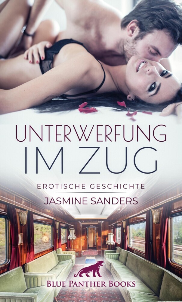 Unterwerfung im Zug | Erotische Geschichte main product photo