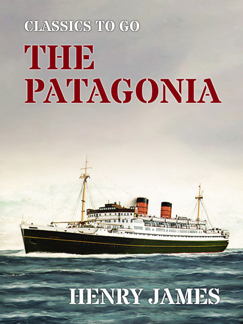 The Patagonia main product photo
