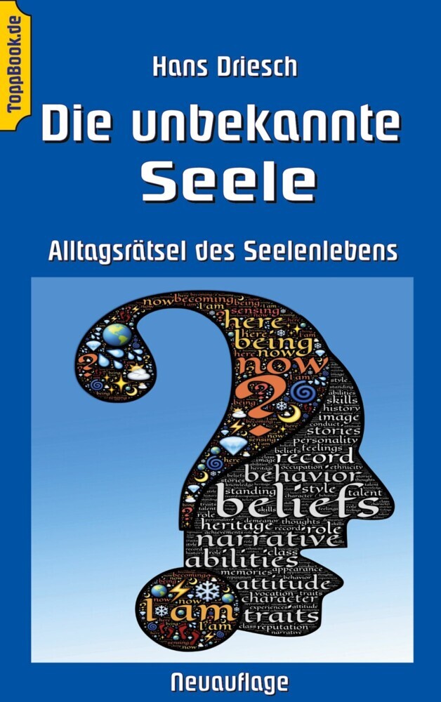 Die unbekannte Seele main product photo