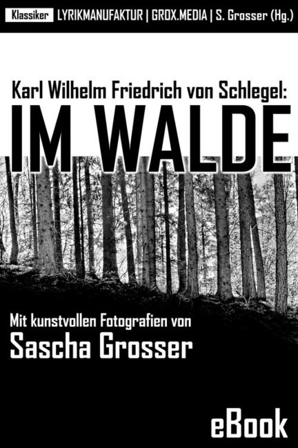 Karl Wilhelm Friedrich von Schlegel: Im Walde main product photo