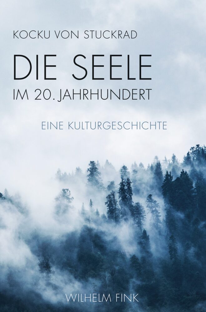Die Seele im 20. Jahrhundert main product photo