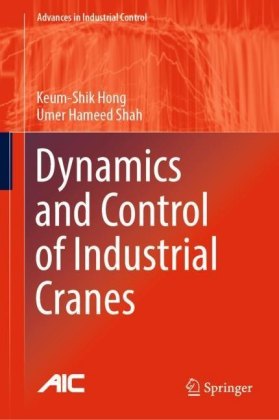 Dynamics and Control of Industrial Cranes