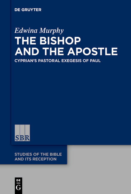 The Bishop and the Apostle main product photo