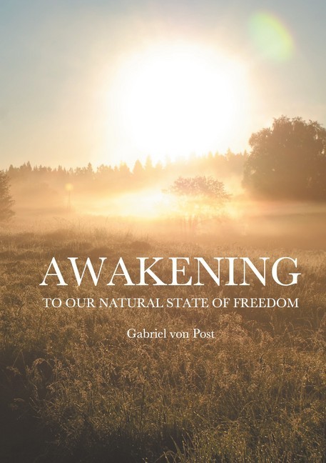 Awakening main product photo
