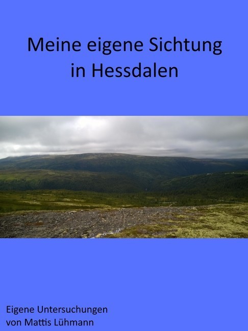 Meine eigene Sichtung in Hessdalen main product photo