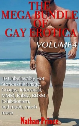 The Mega Bundle of Gay Erotica