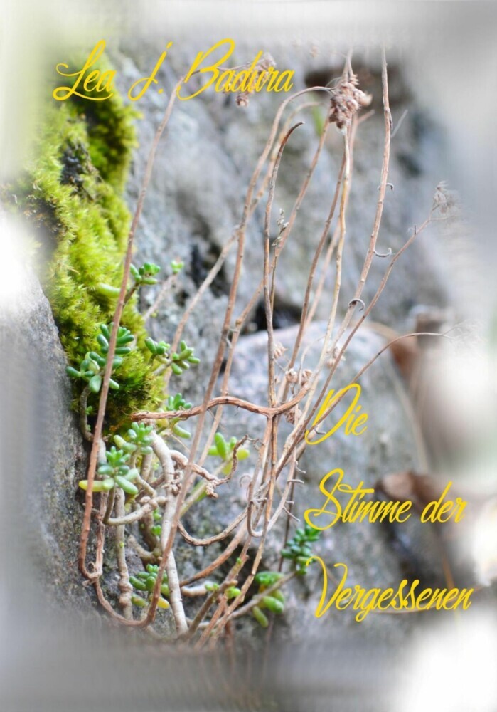 Die Stimme der Vergessenen main product photo