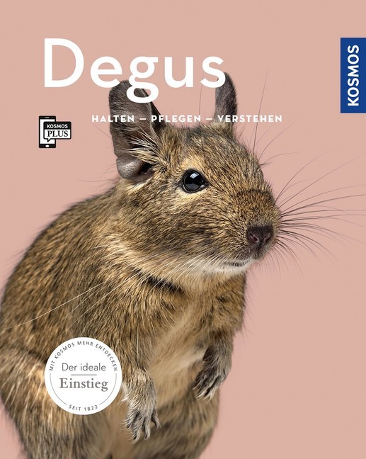 Degus main product photo