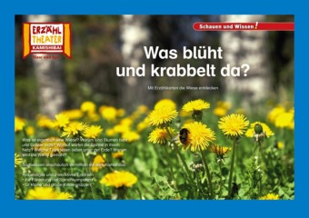 Was blüht und krabbelt da? / Kamishibai Bildkarten