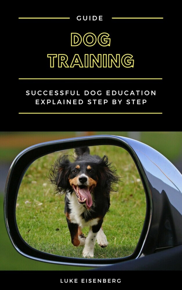 Dog Training main product photo