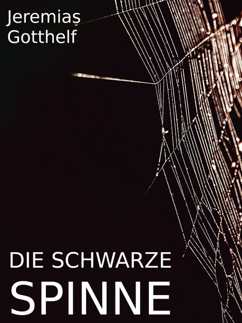Die schwarze Spinne main product photo