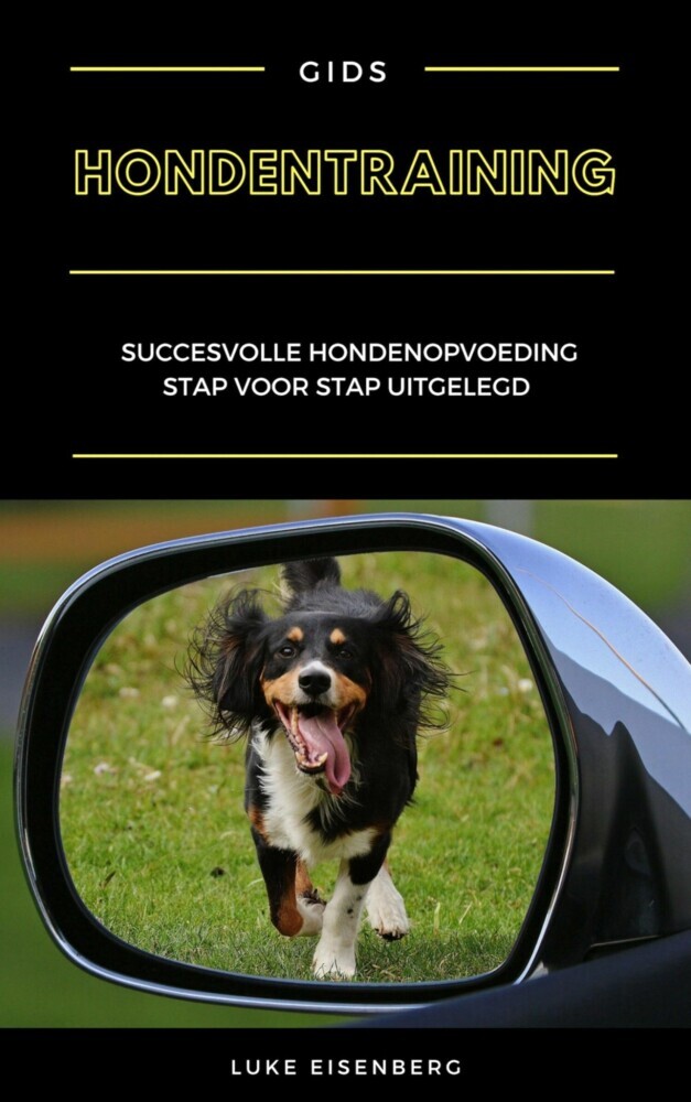 Hondentraining main product photo