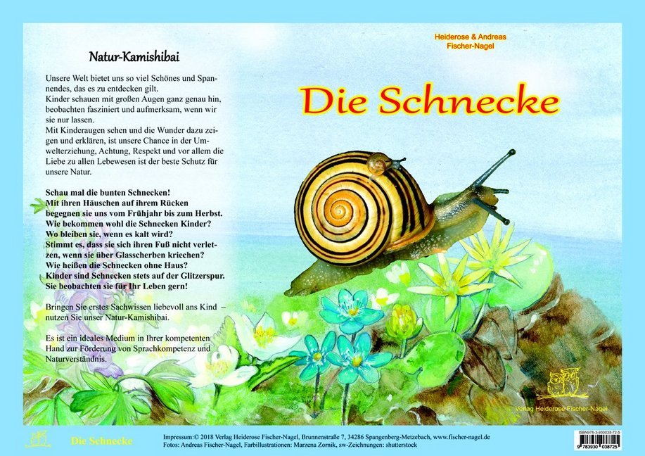 Die Schnecke, Natur-Kamishibai main product photo