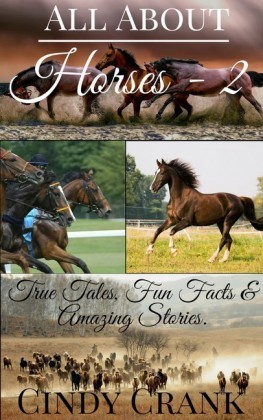 All about Horses - 2