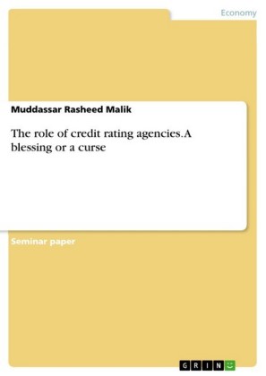 The role of credit rating agencies. A blessing or a curse