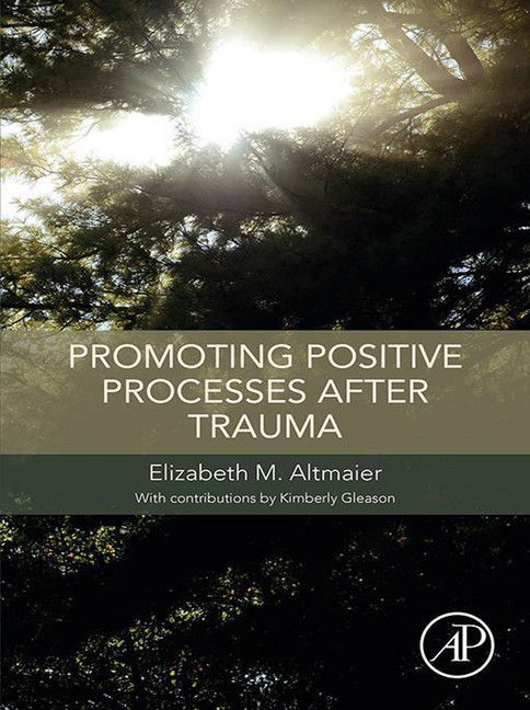 Promoting Positive Processes after Trauma main product photo