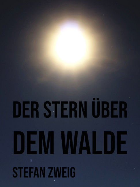 Der Stern über dem Walde main product photo