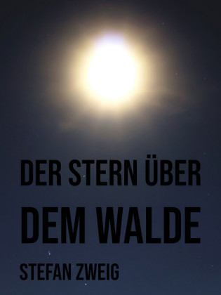 Der Stern über dem Walde