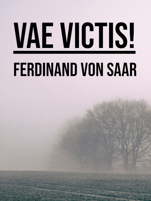 Vae victis! main product photo