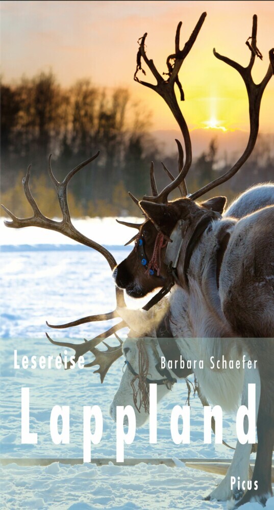 Lesereise Lappland main product photo