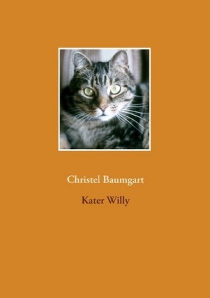 Kater Willy