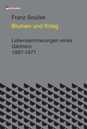 Blumen und Krieg