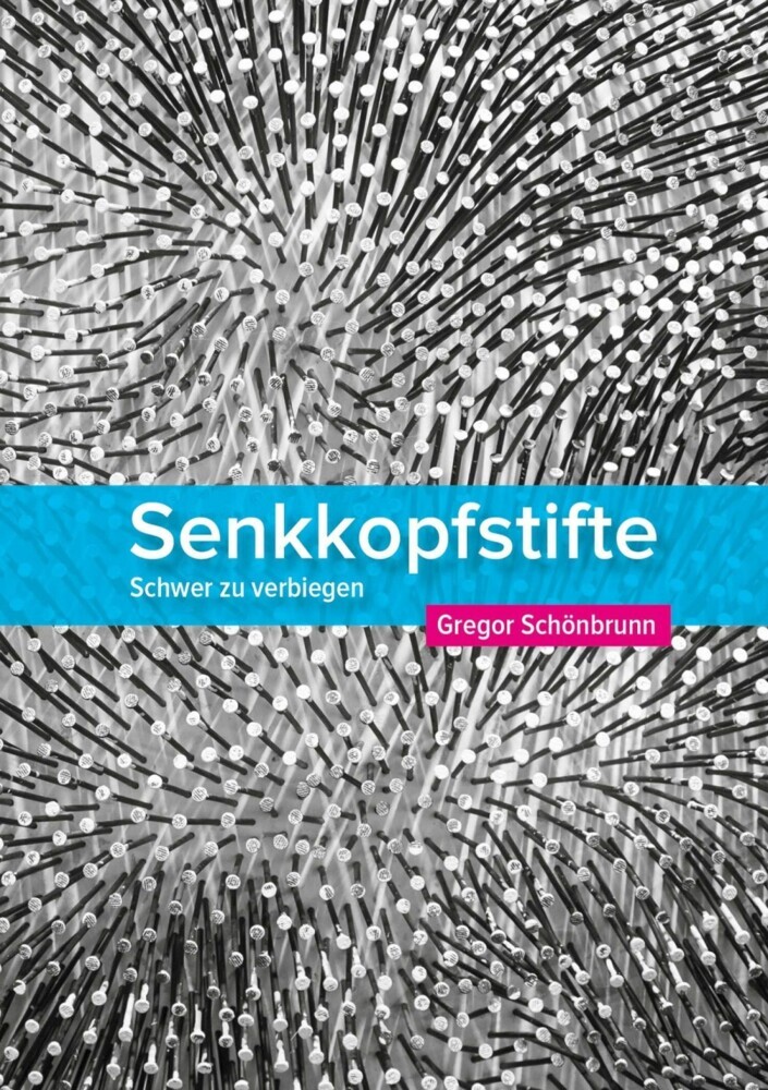 Senkkopfstifte main product photo