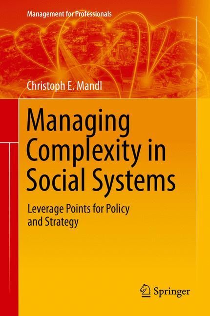 Managing Complexity in Social Systems main product photo