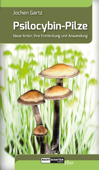 Psilocybin-Pilze main product photo