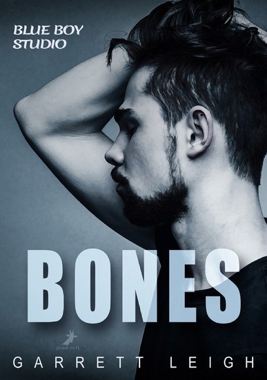 Blue Boy: Bones main product photo
