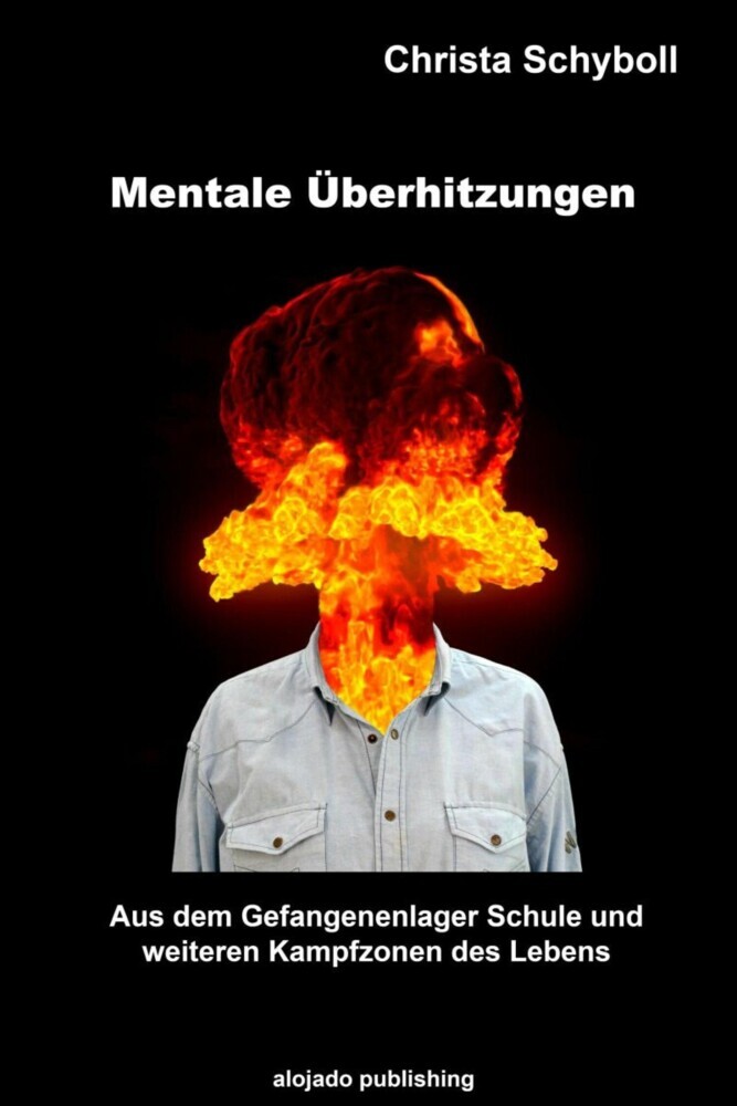 Mentale Überhitzungen main product photo