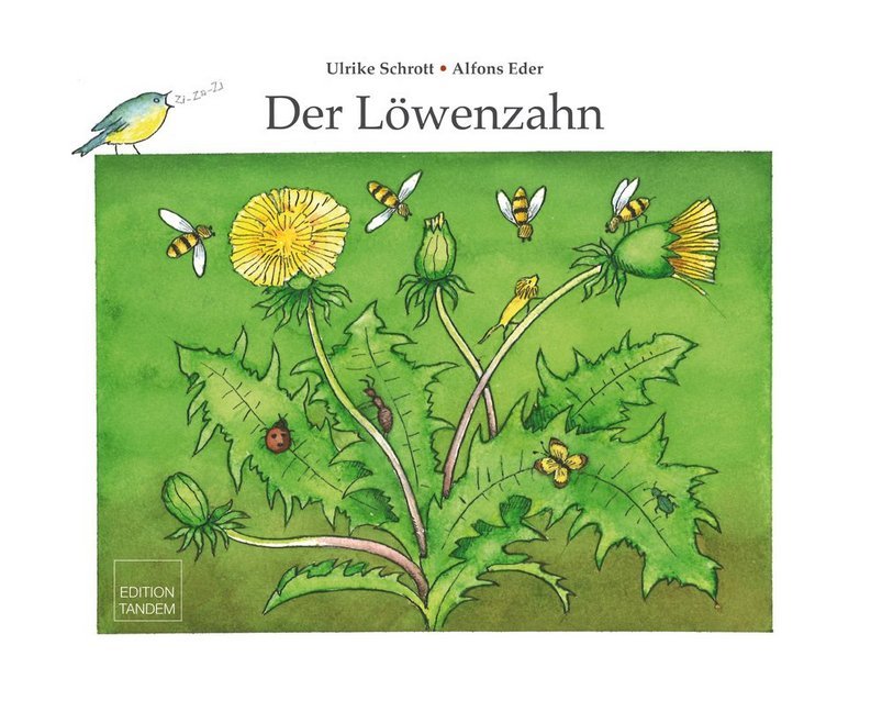Der Löwenzahn main product photo