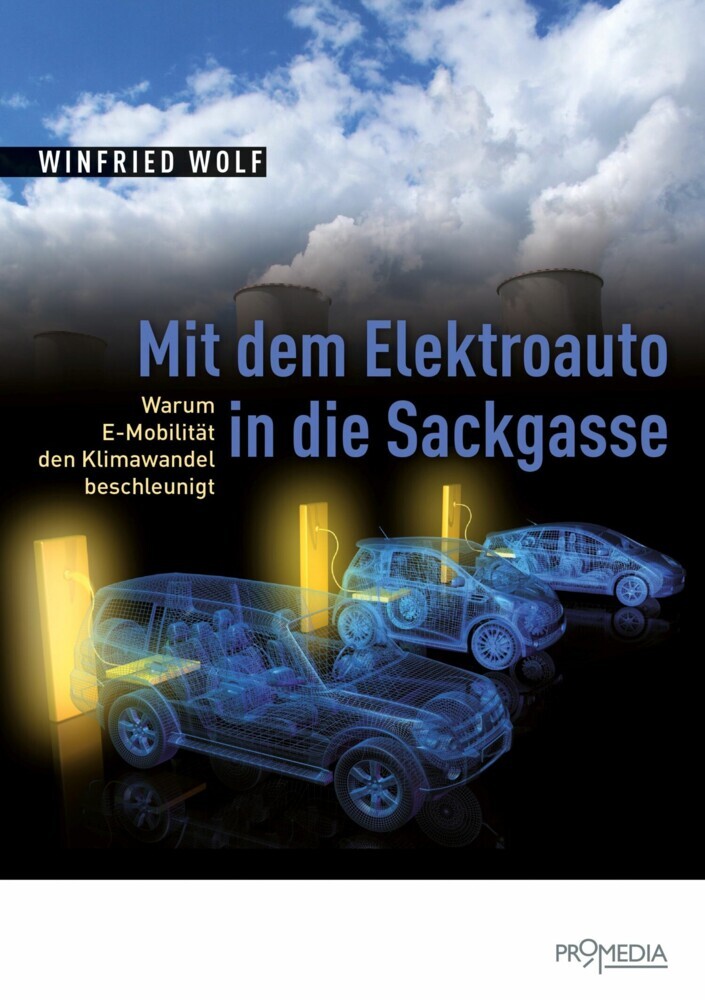 Mit dem Elektroauto in die Sackgasse main product photo