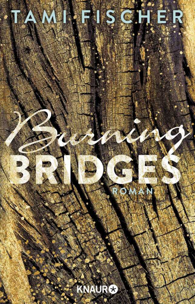 Burning Bridges main product photo