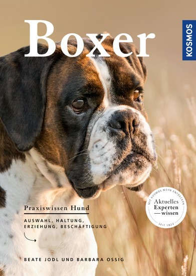 Boxer main product photo