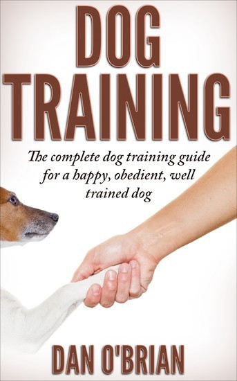 Dog Training main product photo