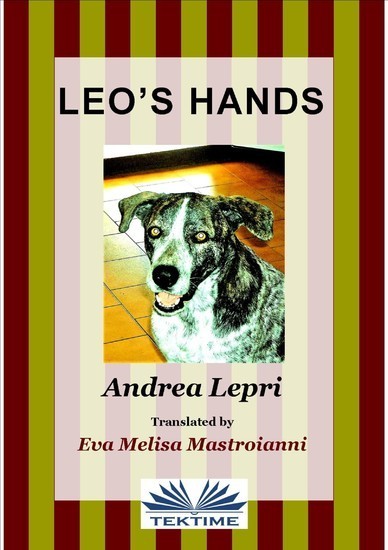 Leo's Hands main product photo