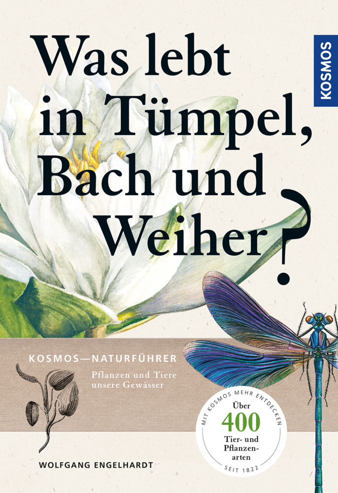 Was lebt in Tümpel, Bach und Weiher? main product photo