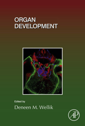 Organ Development