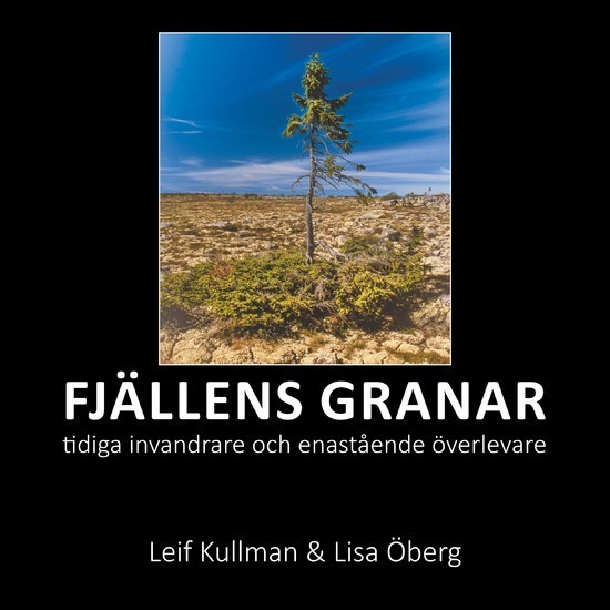Fjällens granar main product photo