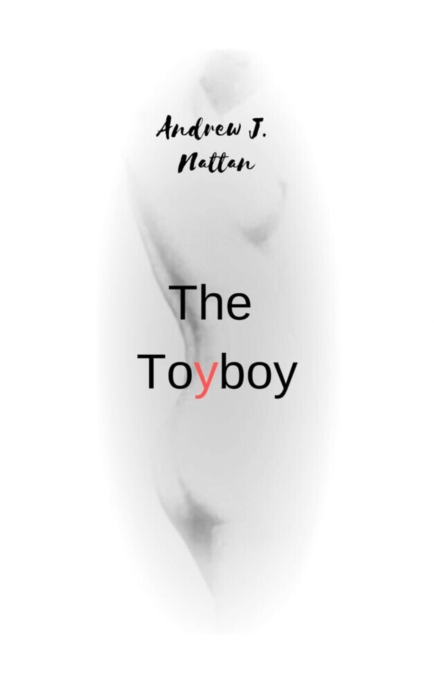 The Toyboy main product photo