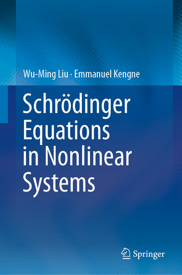 Schrödinger Equations in Nonlinear Systems main product photo