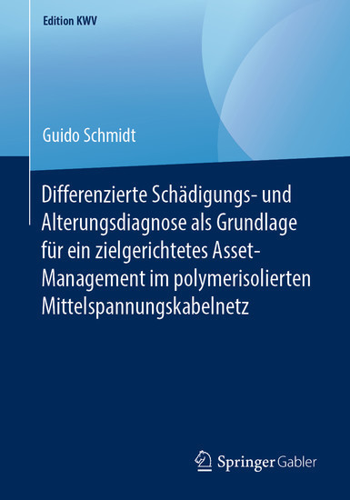 Differenzierte Schädigungs- und Alterungsdiagnose als Grundlage für ein zielgerichtetes Asset-Management im polymerisolierten Mittelspannungskabelnetz main product photo