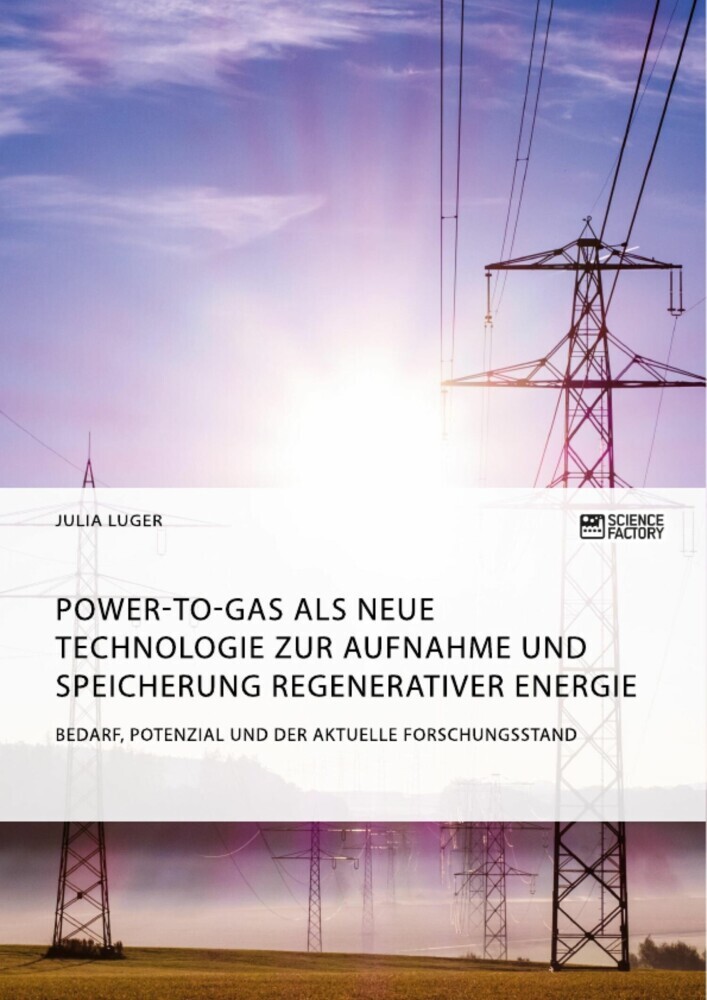 Power-to-Gas als neue Technologie zur Aufnahme und Speicherung regenerativer Energie. Bedarf, Potenzial und der aktuelle Forschungsstand main product photo