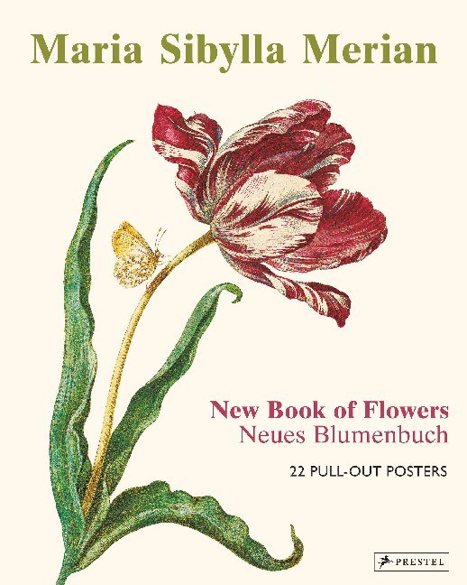 Maria Sibylla Merian: The New Book of Flowers/Neues Blumenbuch main product photo