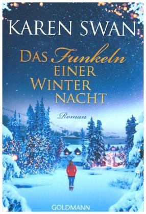 Das Funkeln einer Winternacht