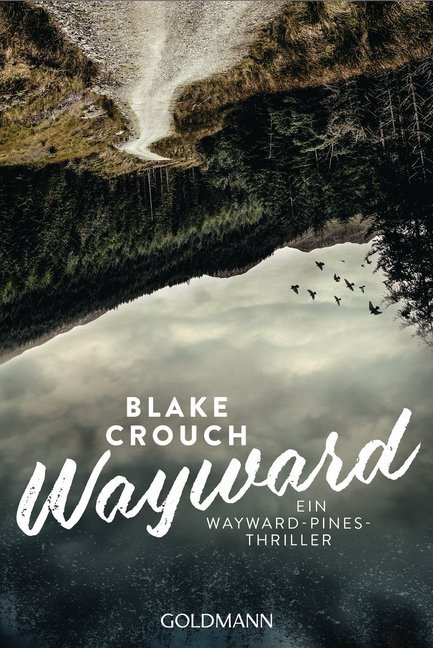 Wayward main product photo