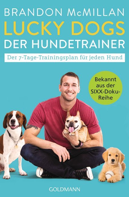 Lucky Dogs - der Hundetrainer main product photo