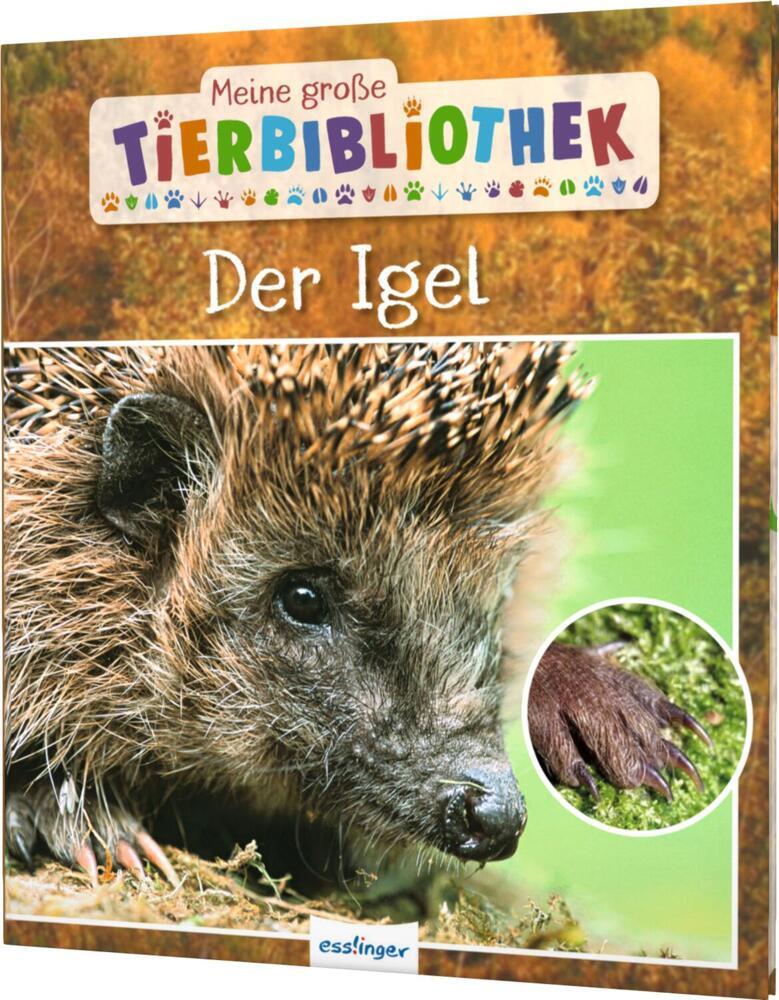 Meine große Tierbibliothek: Der Igel main product photo